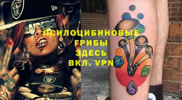 МДПВ Кукмор