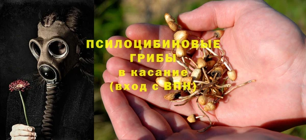 дмт Кулебаки