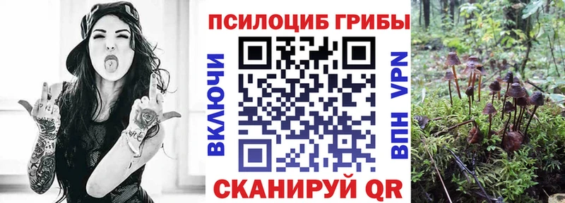 Галлюциногенные грибы мухоморы  купить наркотики цена  Горячеводский 